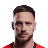 Arnautović image