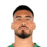 Gazzaniga image