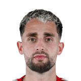 Januzaj image