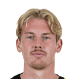 Brandt image