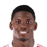 Embolo image