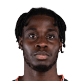 Adebayo image