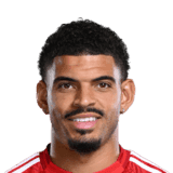 Gibbs-White image