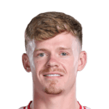 Lewis-Potter image