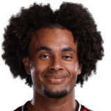 Zirkzee image