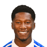 Bernard image