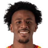 Guilavogui image