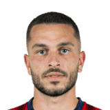 Ibrahimović image