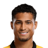João Gomes image