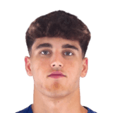 Pau Cubarsí image