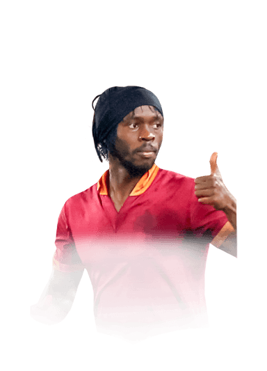 Gervinho image