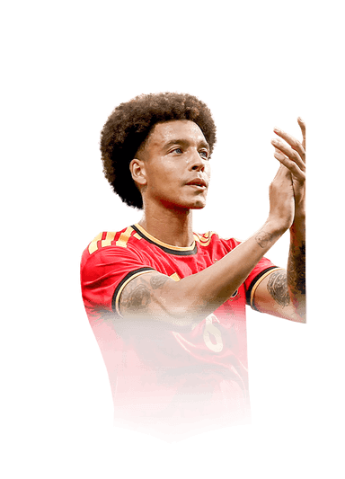 Witsel image