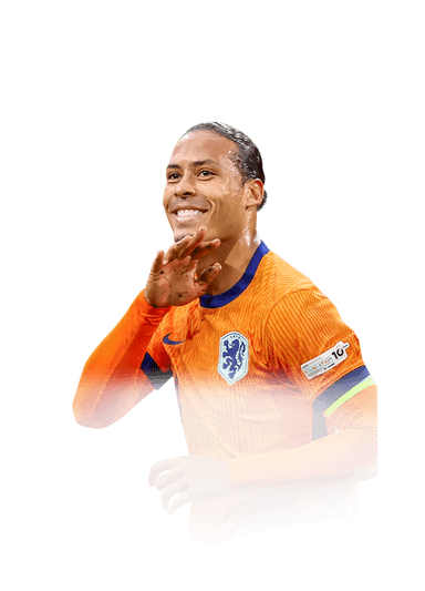 van Dijk image