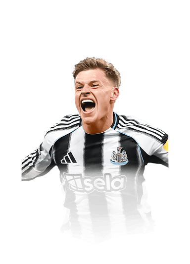 Barnes image