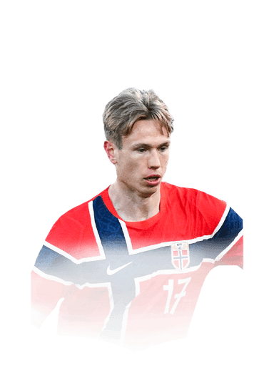 Heggem image