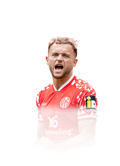 Hollerbach image