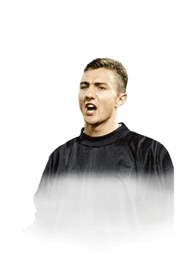 Dudek image