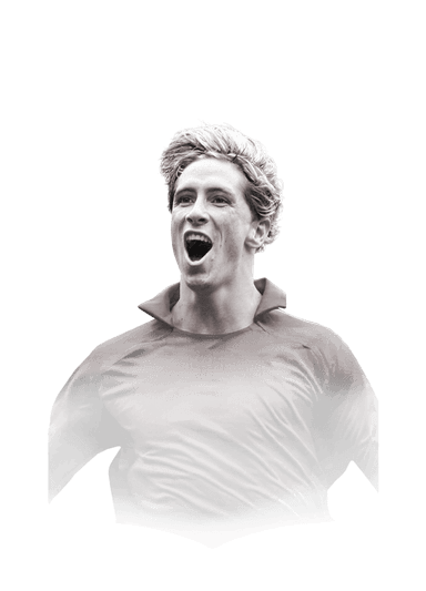 Fernando Torres image
