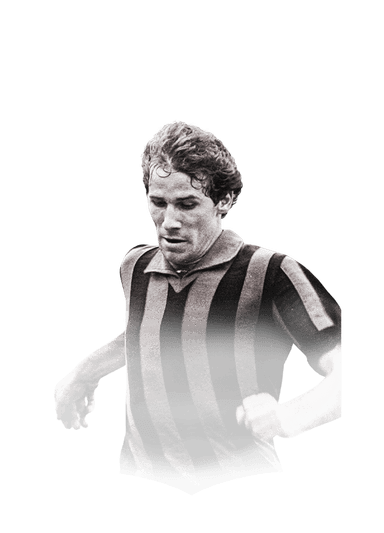 Baresi image