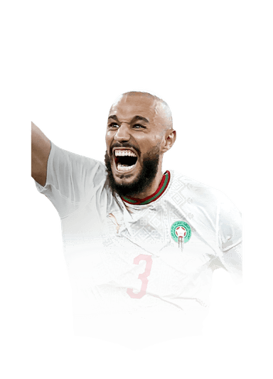 Mazraoui image