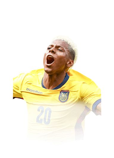 Angulo image