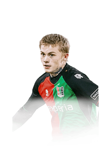 Hansen-Aarøen image