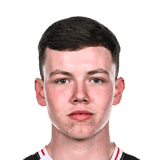 Brady image