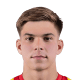 Zwoźny image