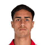 Vitor Reis image