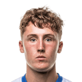 Martin image