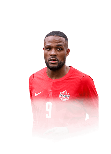 Larin image