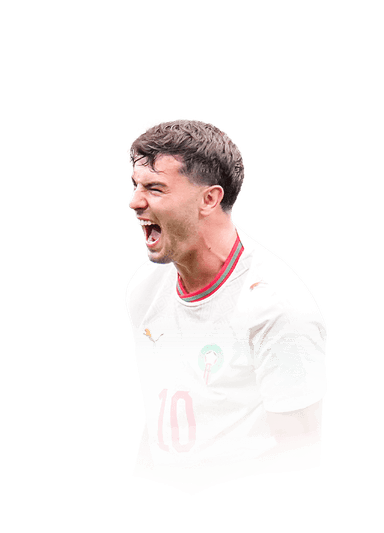 Brahim image