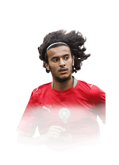 Bouaddi image
