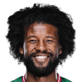 Wijnaldum image