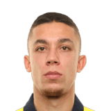Krastev image