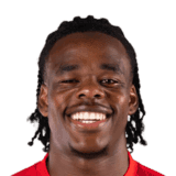 Ngoy image