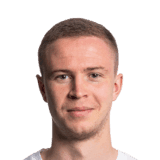 Bjarnason image
