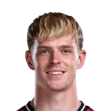Collyer image