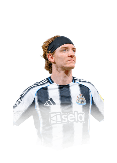Gordon image