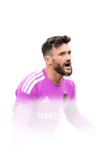 Lloris image