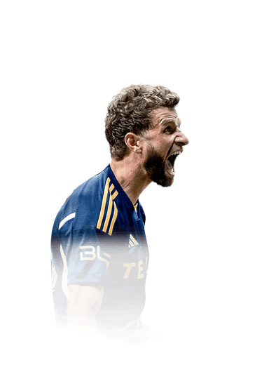 Müller image