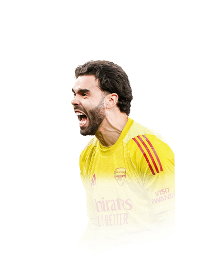 David Raya image